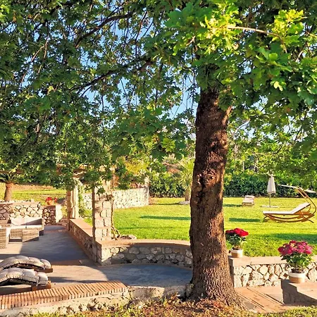 Maiora Guest house *